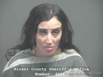 Mugshot of ANGELA AMOUR LIVELY