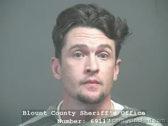 Mugshot of MICHAEL JAMES WILSON