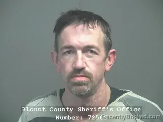 Mugshot of JAMES EDWARD LOWE