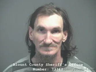 Booking photo from Blount County, Tennessee