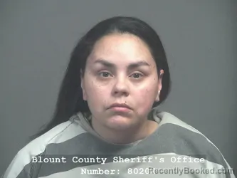 Mugshot of RACHEL Marie GALYON