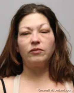 Mugshot of CHANTELLE NICOLE WILCOX