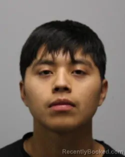 Booking photo from Bradley County, Tennessee