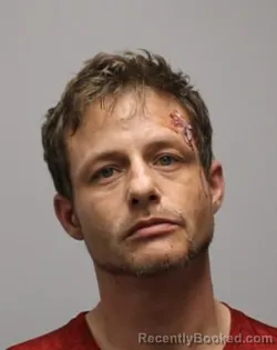 Mugshot of DUSTIN STERLING PETTITT