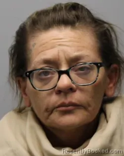 Mugshot of ERIN LYNN JOHNSON