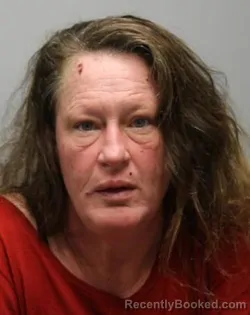 Booking photo from Bradley County, Tennessee