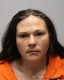 Booking photo from Bradley County, Tennessee