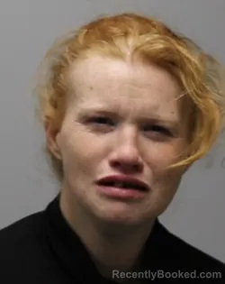 Mugshot of TAMARA LORNIE EADY-MILLSAPS