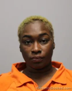 Mugshot of TORRI N KELLEY