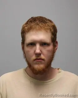 Mugshot of TYLER G WOODS