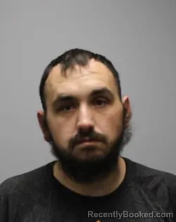 Mugshot of WILLIAM BRITTON JOHNSON