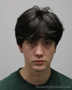 Mugshot of WAYNE L ROYSTER