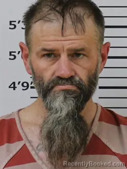 Mugshot of DAVID D STEVENS