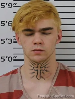 Mugshot of BRAXTON D ROBINSON