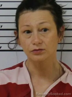 Mugshot of MISTY DAWN MILLER