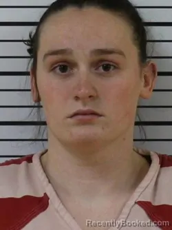 Mugshot of LAUREN BRINDLE