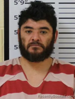 Mugshot of LUIS RODRIGUEZ RAMIREZ