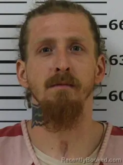 Mugshot of RICKY WAYNE MCKINNEY