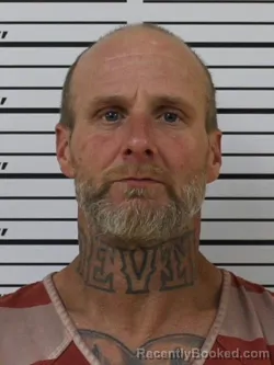 Mugshot of RONALD JAY COLLINS