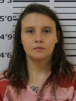 Mugshot of BRITTANY KAY TURBYFILL