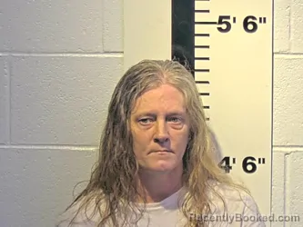 Mugshot of AMANDA K LYKE