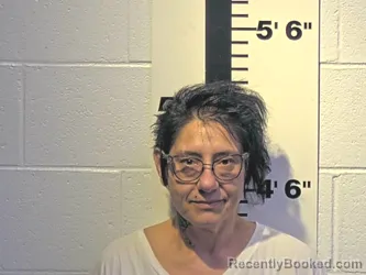 Mugshot of CHRISTINA M PALVERENTO