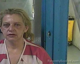 Booking photo from Cocke County, Tennessee