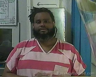 Booking photo from Cocke County, Tennessee