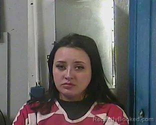 Booking photo from Cocke County, Tennessee