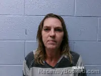 Mugshot of ROBBIN MARSETTE BISE