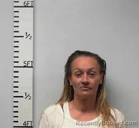 Mugshot of Brandy Lajean Johnson