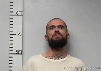 Mugshot of Logan Davis Price