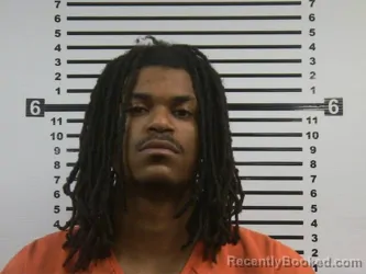 Mugshot of RANDARIAN JERRELL RICHARDSON