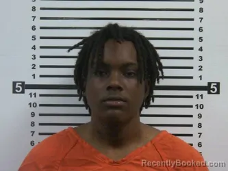 Mugshot of RODARIOUS SHERVON ANDERSON