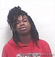 Mugshot of JAKORIEH ANDERSON