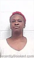 Mugshot of NICOLE ROGERS CARNEY