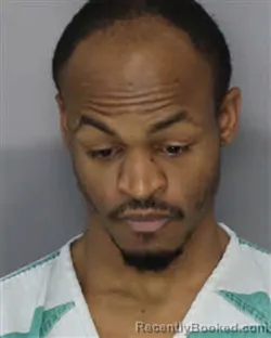 Booking photo from Jefferson County, Tennessee