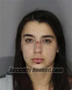 Booking photo from Jefferson County, Tennessee