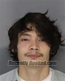 Booking photo from Jefferson County, Tennessee