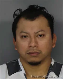 Mugshot of RAMIRO RAMOS CABANAS