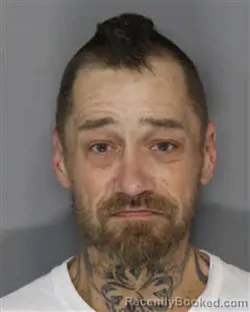 Booking photo from Jefferson County, Tennessee