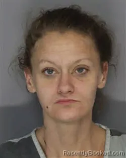 Mugshot of TISHA KAY FULTZ