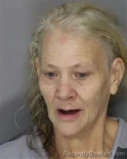 Mugshot of CYNTHIA GAIL BANKS