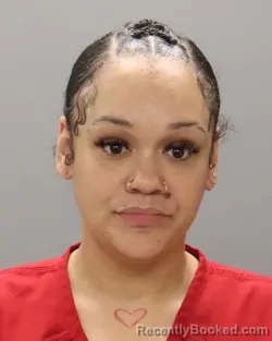 Mugshot of JESSICA LEANN JOHNSON