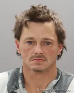 Mugshot of JOHNNY LYNN MCMILLAN