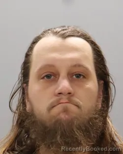 Mugshot of RYAN BLAKE YOUNG