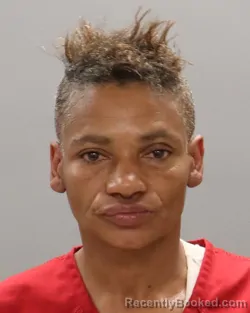 Booking photo from Knox County, Tennessee