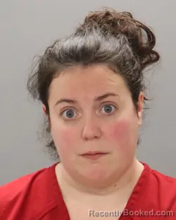 Mugshot of SHANNON ELIZABETH ANN MCFADDEN