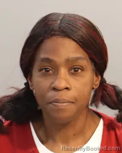 Mugshot of SHONTEL DENISE MCGHEE