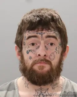 Mugshot of TERAL VEERCHER